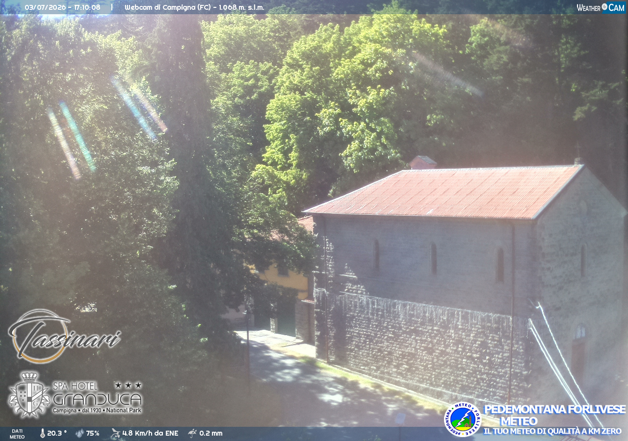 Webcam Campigna strada